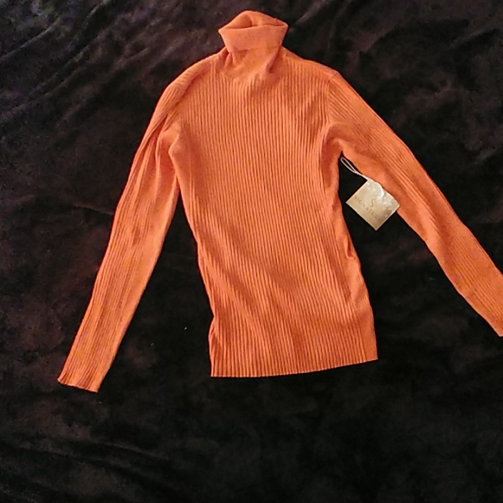 Signature by Ashley Stewart turtleneck NWT